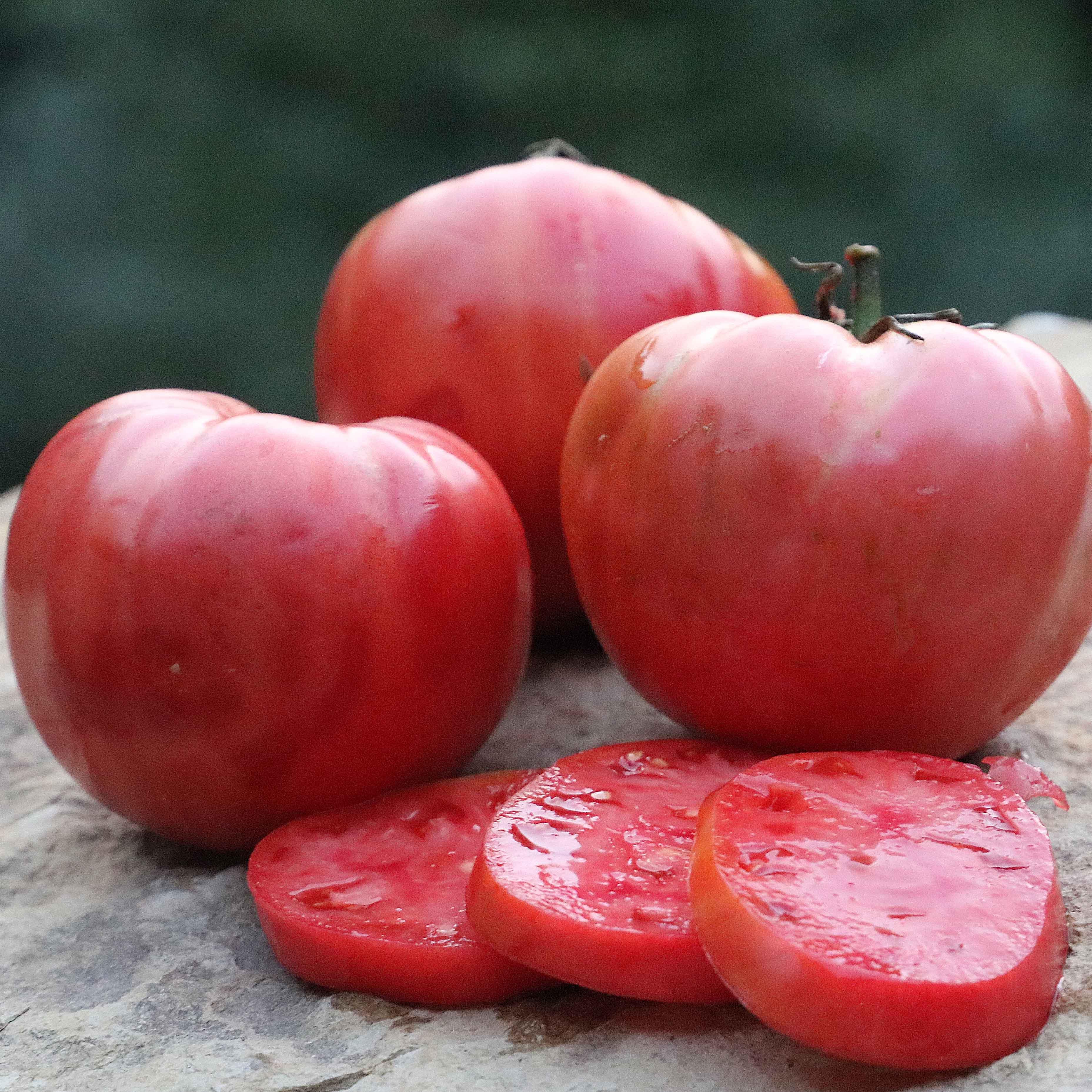Mamie Brown's Pink Tomato Seed - SeedLinked